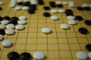 开yun官网-世界围棋赛青年选手战术成熟引热议，2020世界围棋